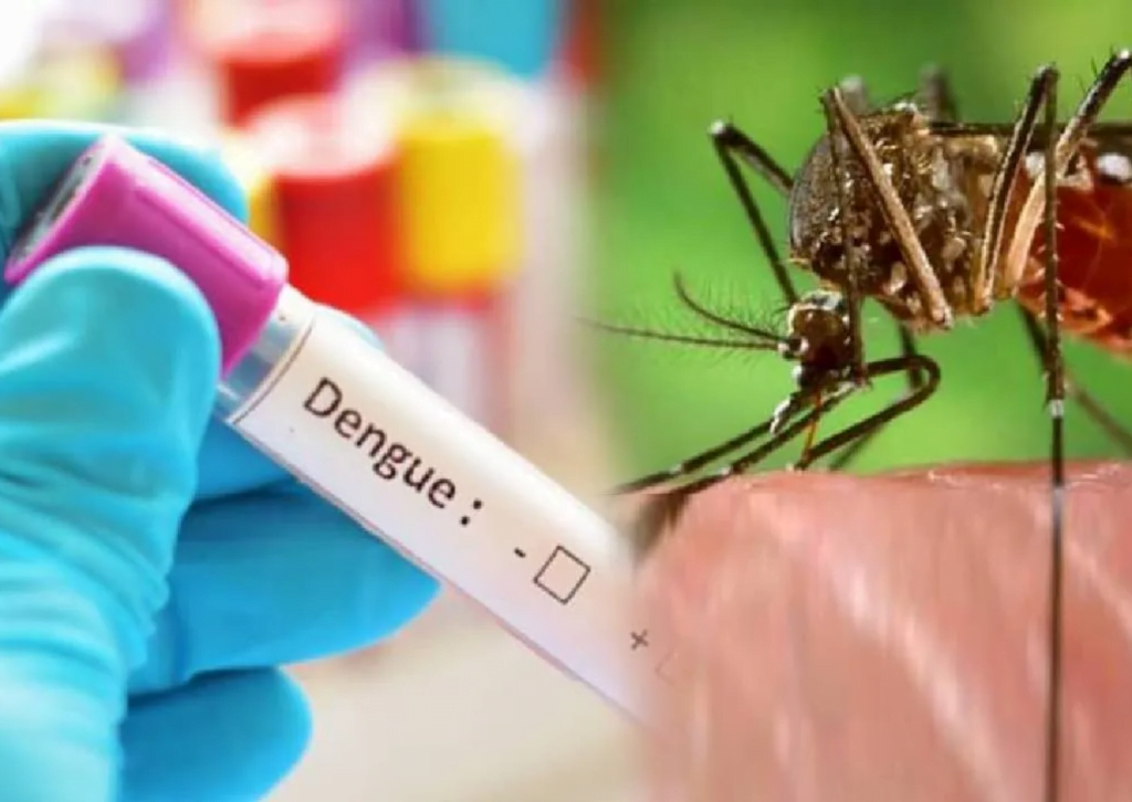 मध्यप्रदेश: डेंगू रोकने के लिए जन-जागरुकता बढ़ाएँ – मंत्री डॉ. प्रभुराम