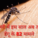 दिल्ली में इस साल अब तक डेंगू के 82 मामले