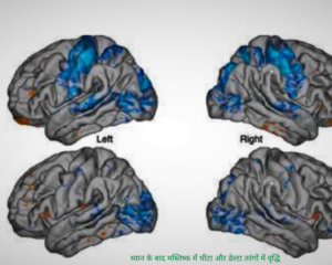 ध्यान के बाद मस्तिष्क में थीटा और डेल्टा तरंगों में वृद्धि होती है
