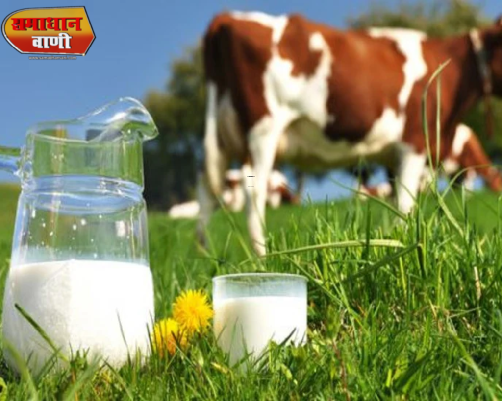 दूध पीने और इसे पचाने में लग गए 10 हजार साल ऐसा जीन खुद को हजारों साल से बदल रहा है।