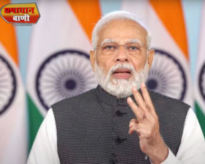 प्रधानमंत्री नरेंद्र मोदी का 72वां जन्‍मदिन, 70 साल बाद भारत में चीतों की वापसी बेहद खाश तोफा क्या हैं