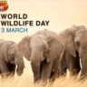 World Wildlife Day 2023: यह दिन और अंतर्निहित CITES समझौता क्यों महत्वपूर्ण है
