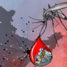 भारत में डेंगू