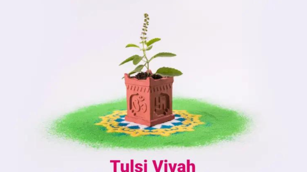 Tulsi Vivah 