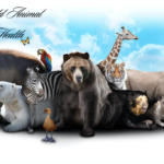 World Animal Health