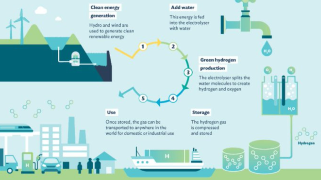 Leading the Green Hydrogen Market