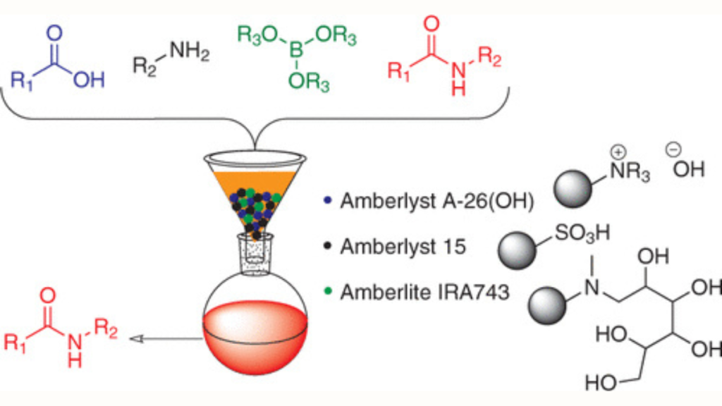 Efficient Amide Synthesis Process