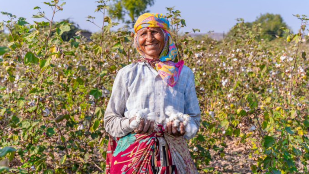 World Cotton Day 