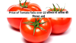 Price of Tomato falls over