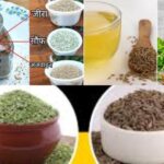 Untitled design - 2026-01-25T024639.790