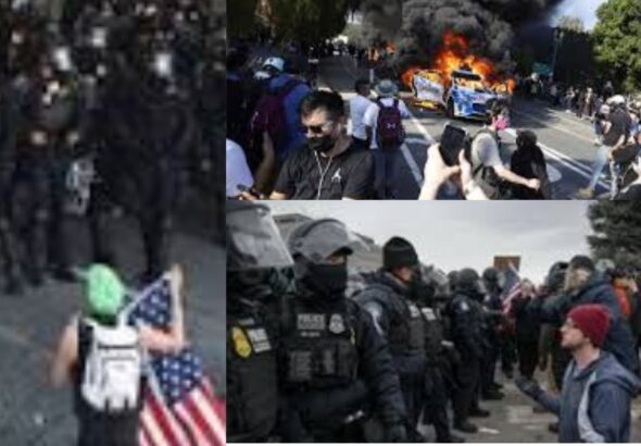 Untitled design - 2026-01-25T031624.358