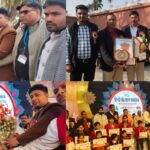 Untitled design (30)