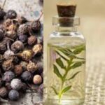 Untitled design (31)