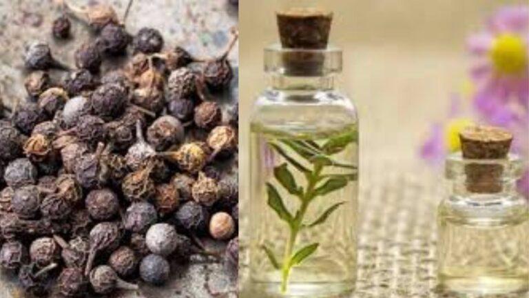 Untitled design (31)