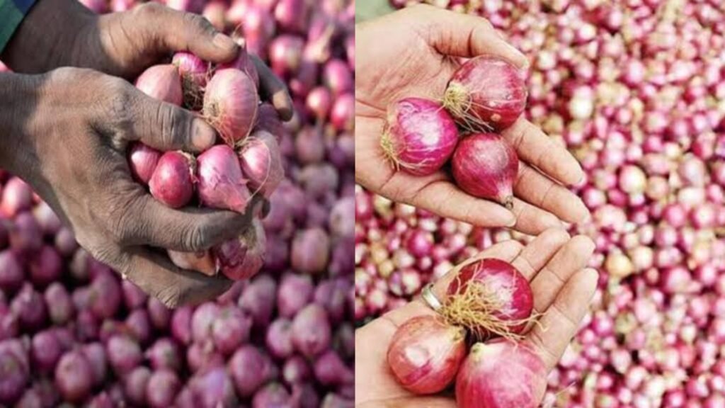 प्याज की महंगाई रोकेगी, कल से मिलेगा ₹35 किलो