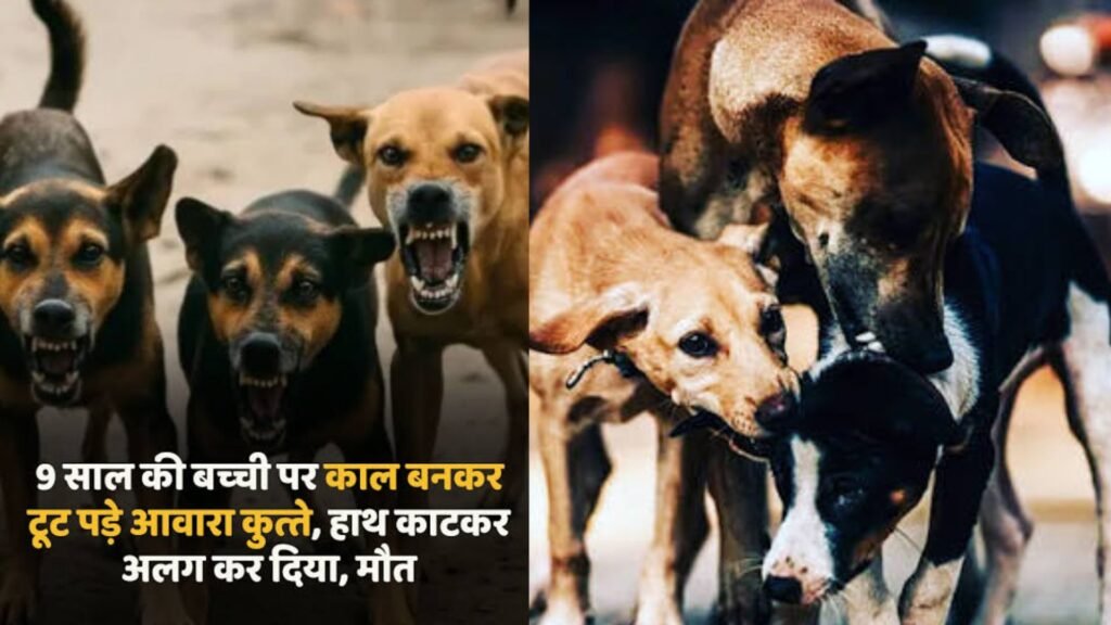 कुत्तों के हमले बढ़े, प्रतिबंधित नस्लों की बिक्री जारी, नियम तो हैं पर निगरानी नहीं