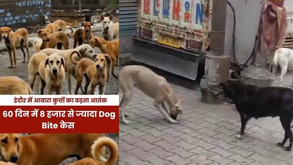 कुत्तों के हमले बढ़े, प्रतिबंधित नस्लों की बिक्री जारी, नियम तो हैं पर निगरानी नहीं